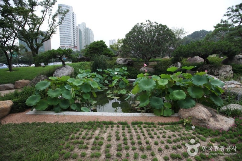 奉恩寺 (1/7)