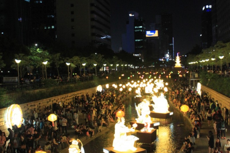 燃灯会 (5/14)