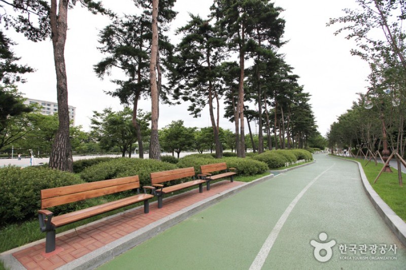 汝矣島公園 (2/30)
