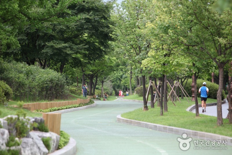 汝矣島公園 (5/30)