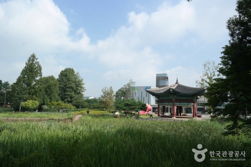 ソウルオリニ大公園 (1/13)