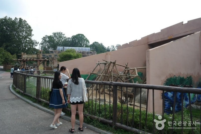 ソウルオリニ大公園 (11/13)