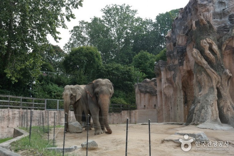 ソウルオリニ大公園 (12/13)
