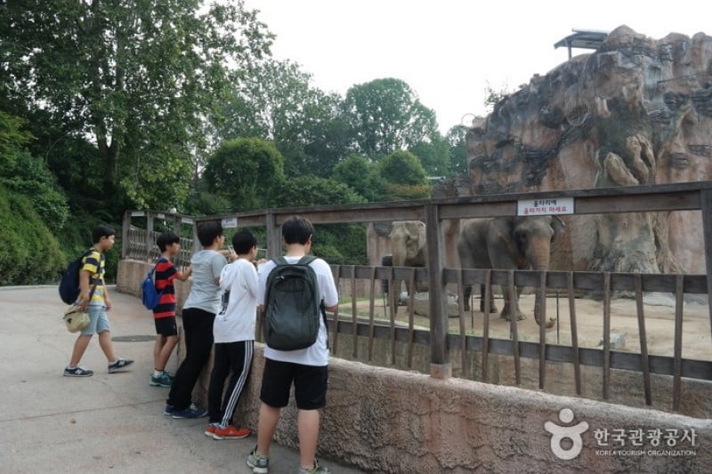 ソウルオリニ大公園 (13/13)