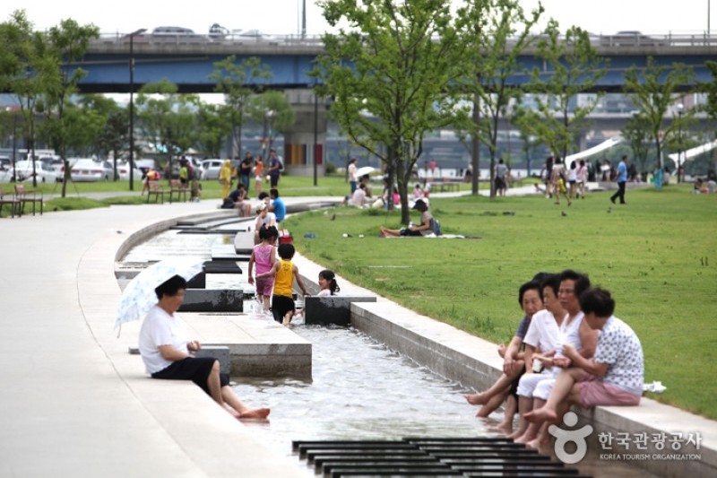 漢江市民公園 汝矣島地区（汝矣島漢江公園）한강시민공원 여의도지구 (4/12)