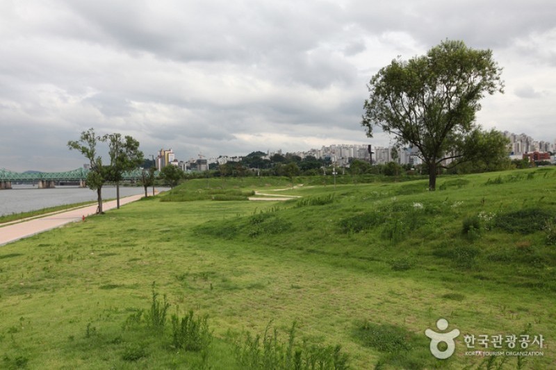 漢江市民公園 汝矣島地区（汝矣島漢江公園）한강시민공원 여의도지구 (5/12)