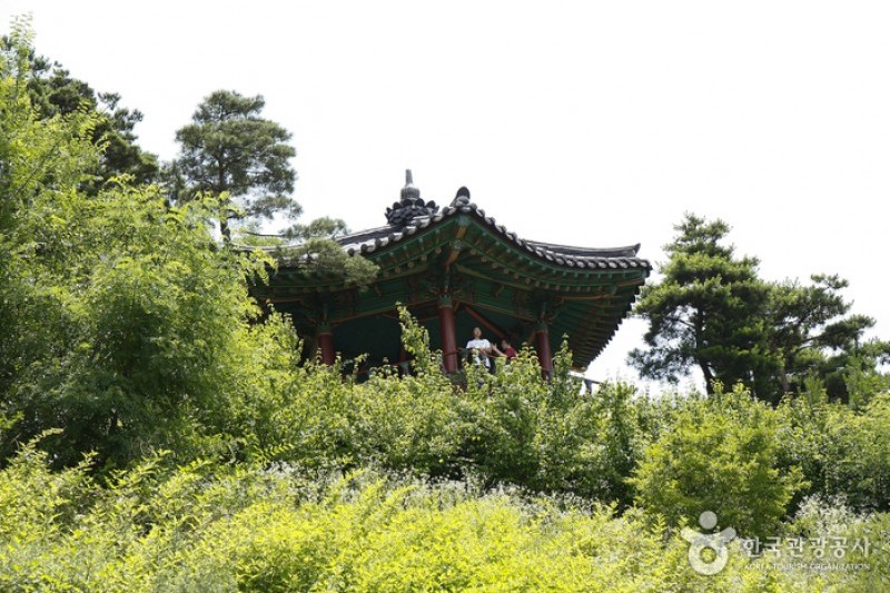 駱山公園 (16/17)