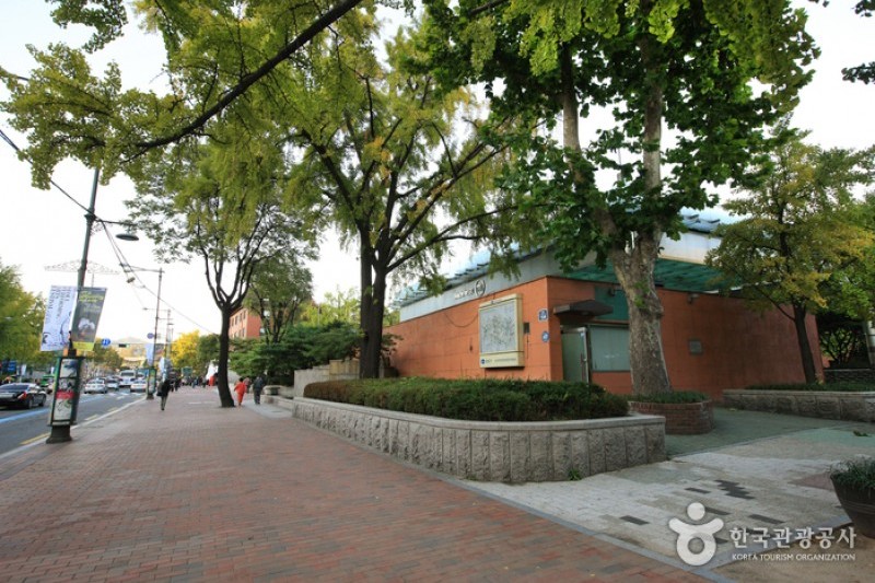 大学路 (8/32)