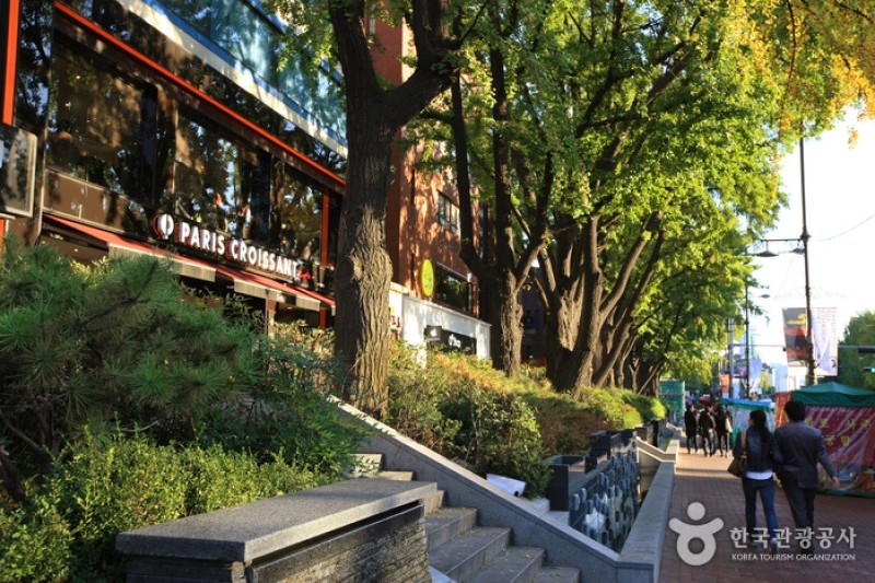 大学路 (18/32)