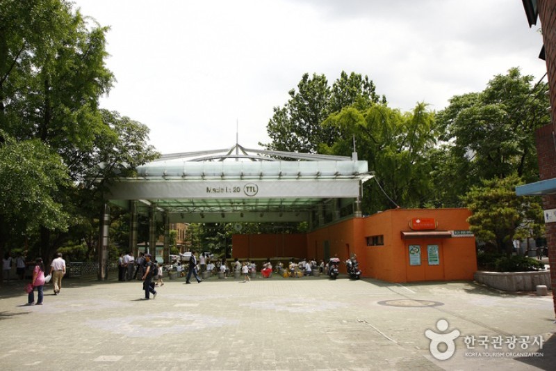 大学路 (31/32)