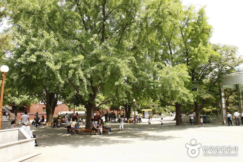 大学路 (32/32)
