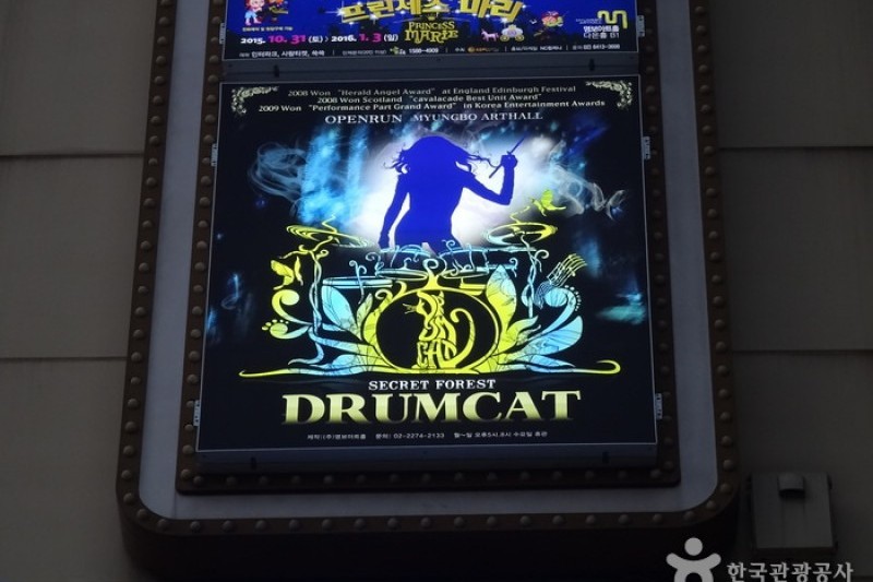 ドラムキャットコンサート (9/10)