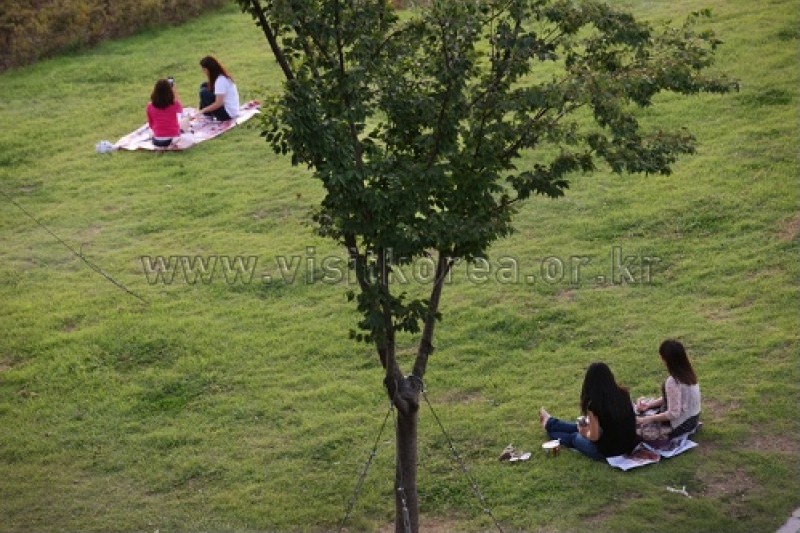 漢江市民公園 トゥクソム地区(トゥクソム漢江公園) (12/30)