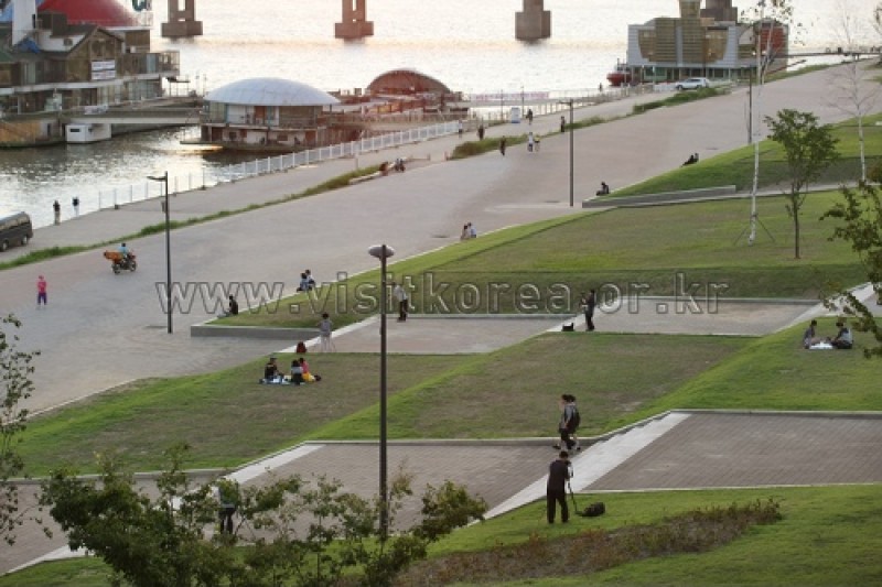 漢江市民公園 トゥクソム地区(トゥクソム漢江公園) (13/30)