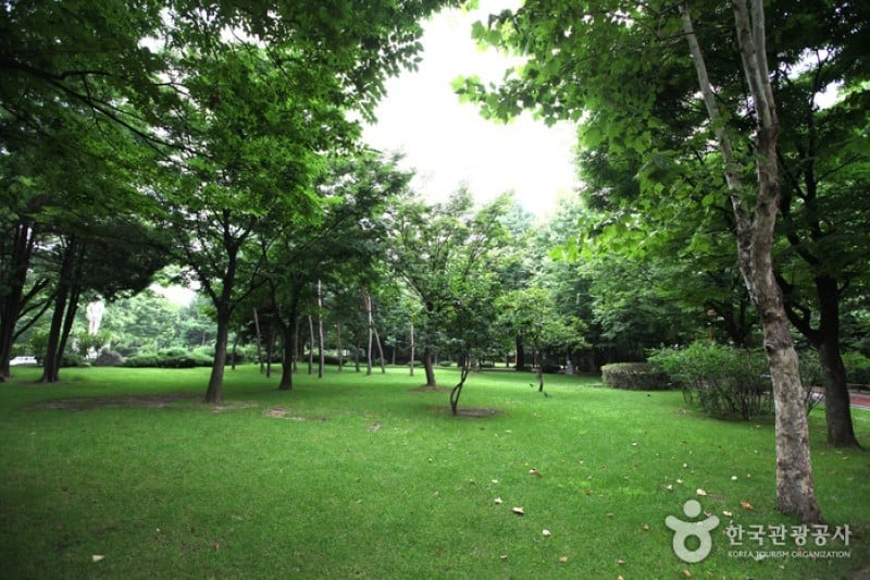 島山公園 (3/12)