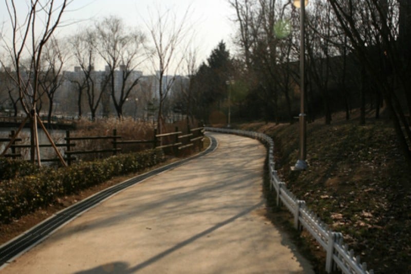 龍山家族公園 (3/5)