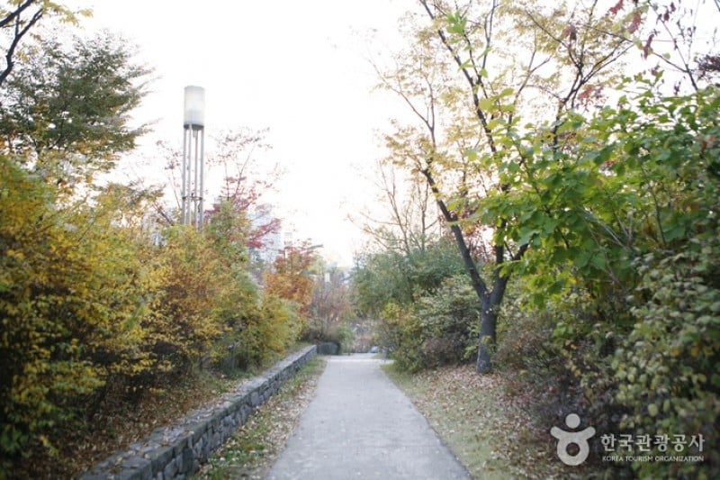 龍山家族公園 (4/5)