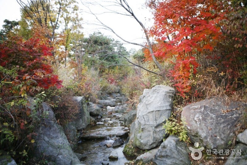 龍山家族公園 (5/5)