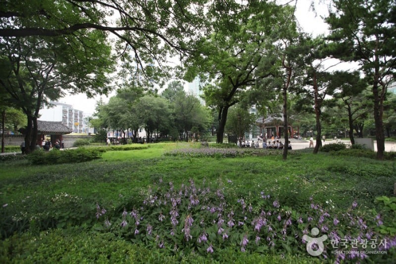 タプコル公園 (6/6)