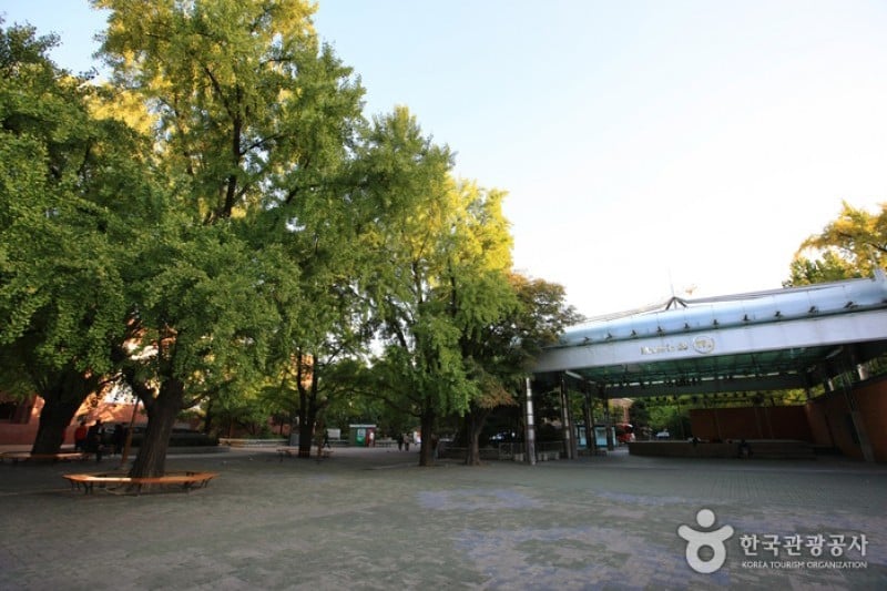 マロニエ公園 (10/18)
