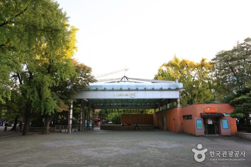 マロニエ公園 (11/18)