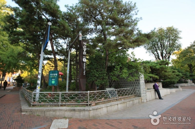 マロニエ公園 (13/18)