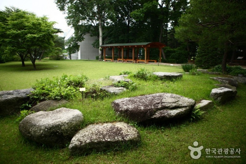洪陵樹木園 (1/5)