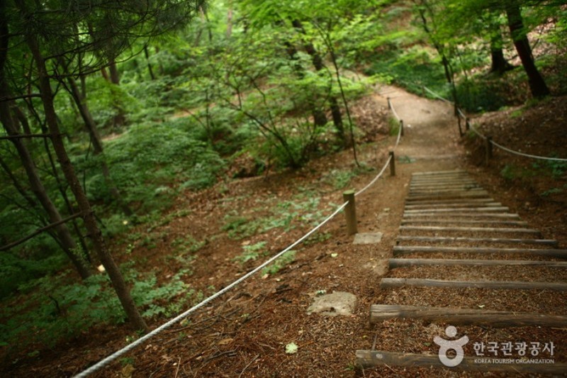 洪陵樹木園 (3/5)