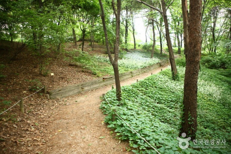 洪陵樹木園 (5/5)