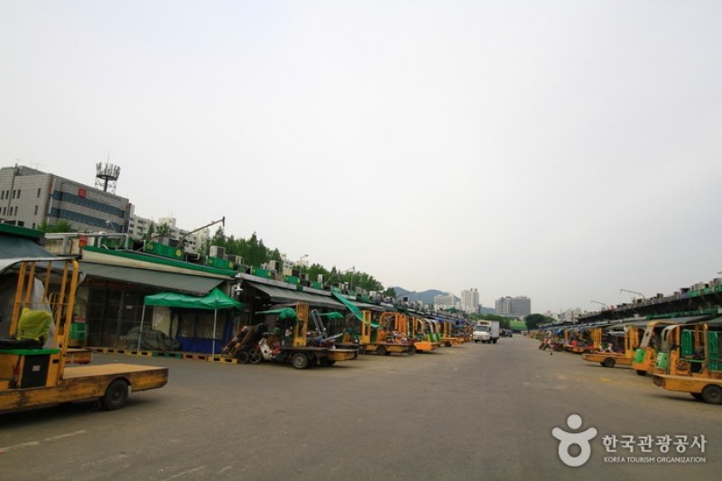 可楽市場(可楽洞農水畜産物市場) (1/19)
