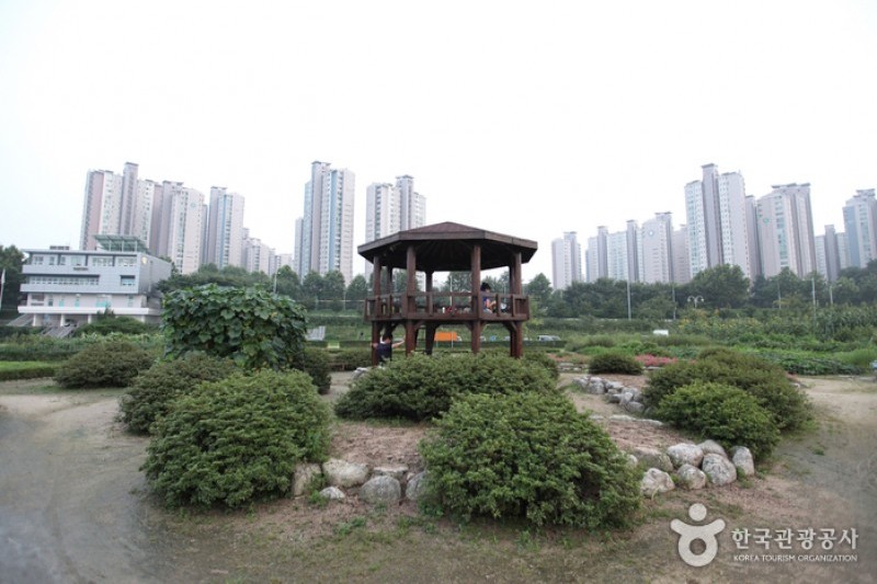 漢江市民公園 蚕室地区 (1/4)