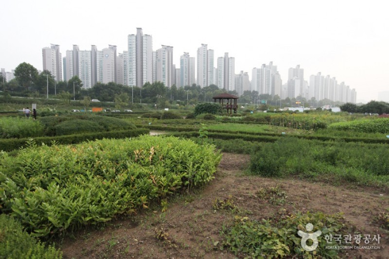 漢江市民公園 蚕室地区 (3/4)