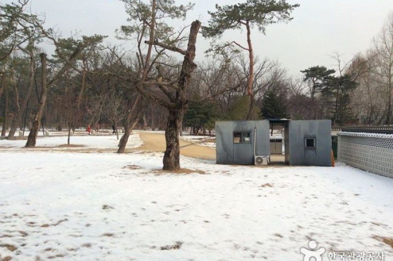 ソウル 泰陵・康陵［ユネスコ世界文化遺産］ (1/3)