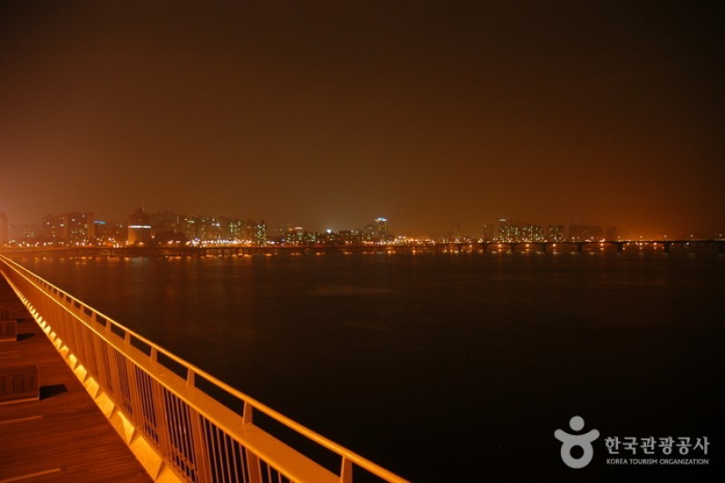麻浦大橋夜景 (4/6)