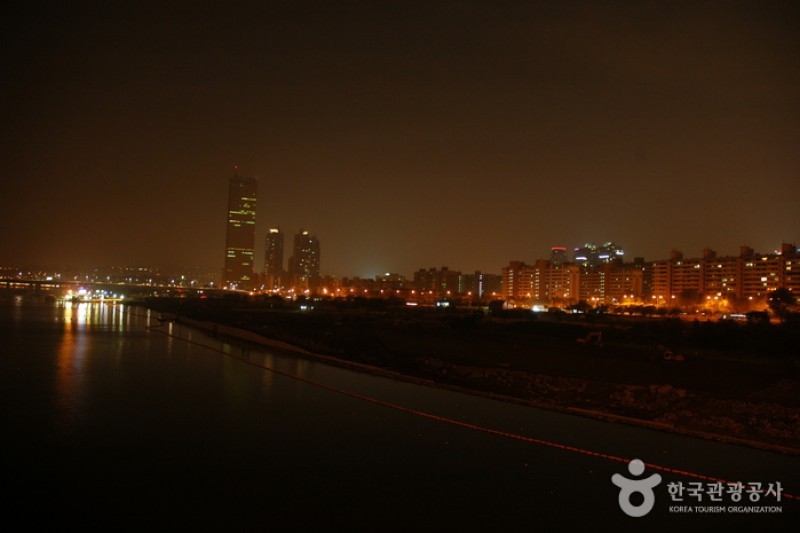 麻浦大橋夜景 (5/6)