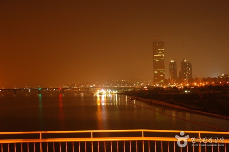 麻浦大橋夜景 (6/6)