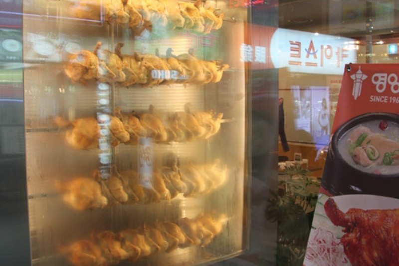 栄養センター本店 (14/25)