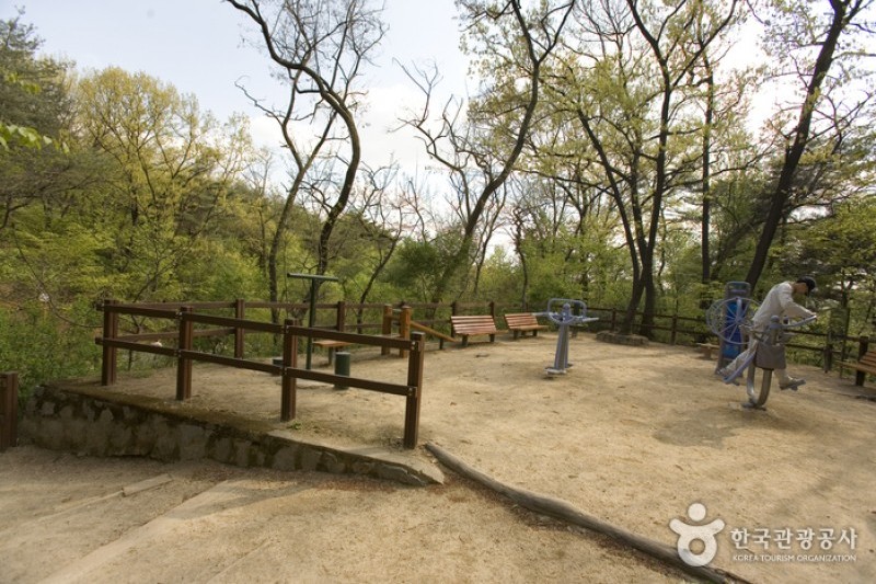 三清公園 (7/8)