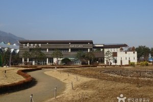 ソウル菖蒲園