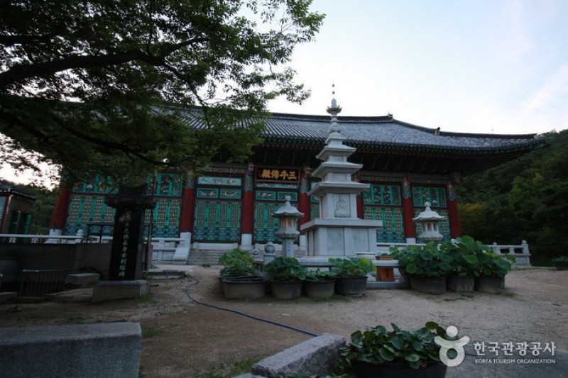 奉元寺 (3/8)