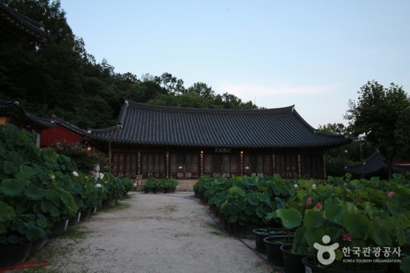 奉元寺 (4/8)