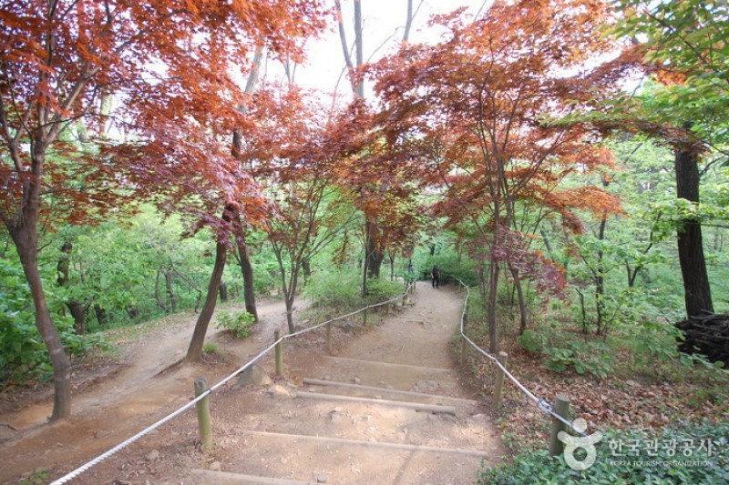 阿且山城 (4/6)