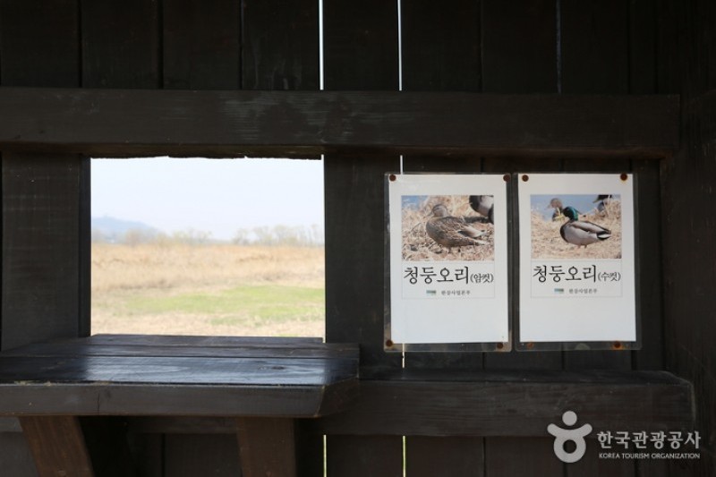 江西湿地生態公園 (2/9)