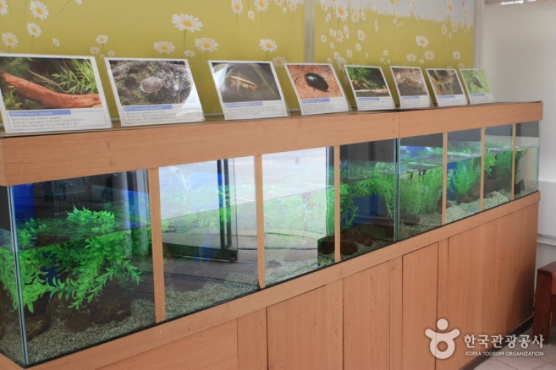 ソウル特別市科学展示館 (4/13)