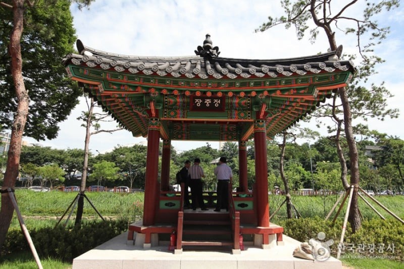 奨忠壇公園 (1/13)