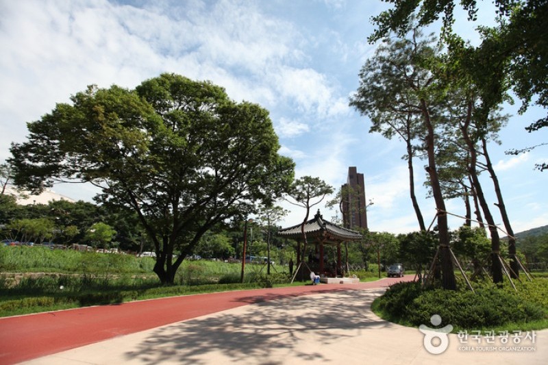 奨忠壇公園 (6/13)