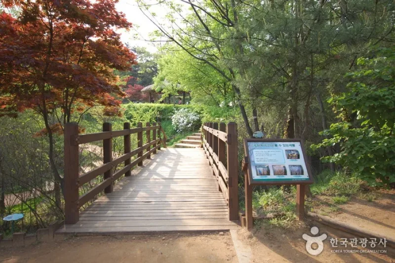 峨嵯山生態公園 (4/7)