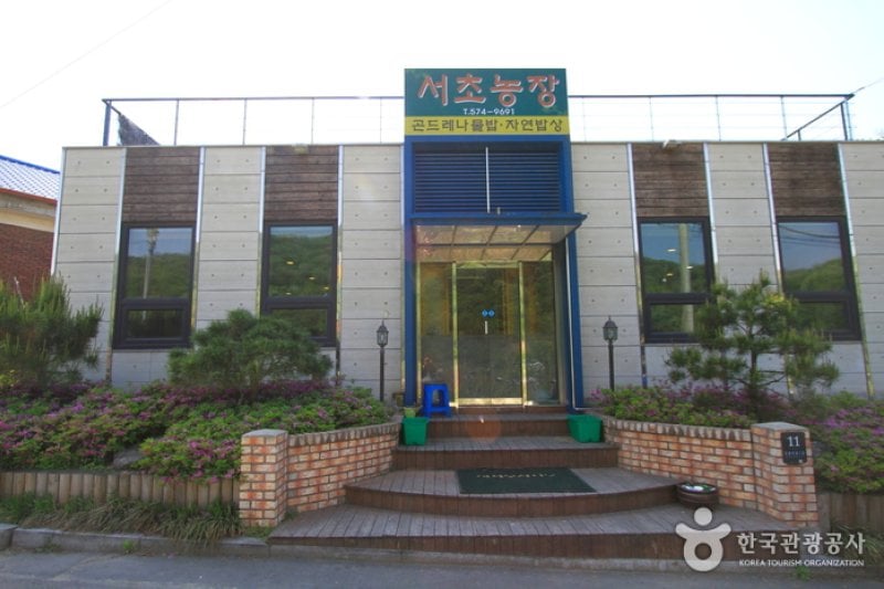 瑞草週末農場 (1/5)