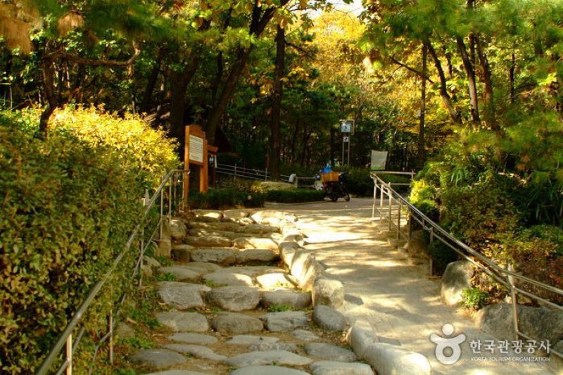 清潭公園 (1/17)