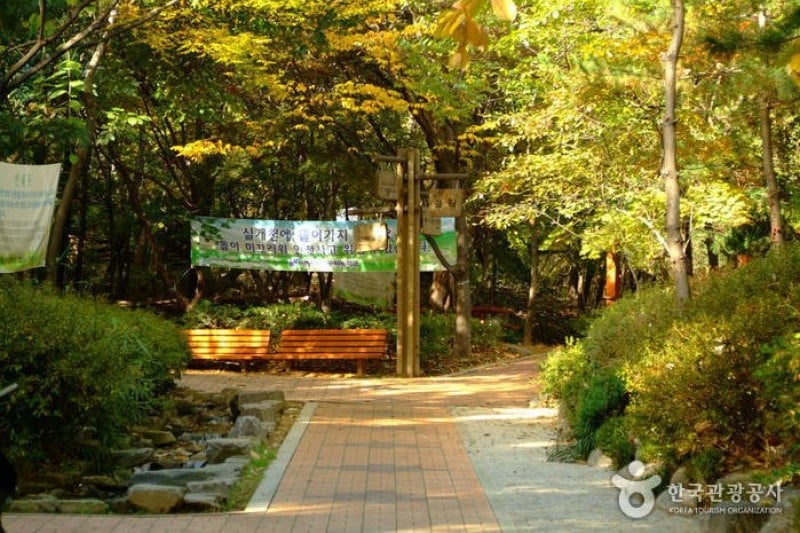 清潭公園 (2/17)